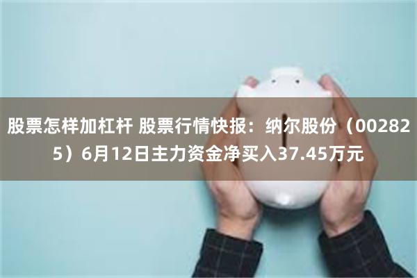 股票怎样加杠杆 股票行情快报：纳尔股份（002825）6月12日主力资金净买入37.45万元