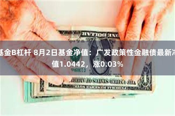 基金B杠杆 8月2日基金净值：广发政策性金融债最新净值1.0442，涨0.03%