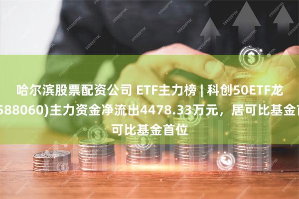 哈尔滨股票配资公司 ETF主力榜 | 科创50ETF龙头(588060)主力资金净流出4478.33万元，居可比基金首位