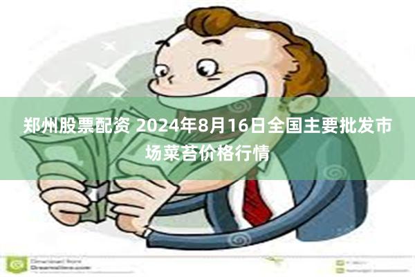 郑州股票配资 2024年8月16日全国主要批发市场菜苔价格行情