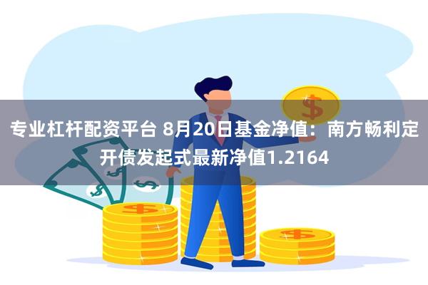 专业杠杆配资平台 8月20日基金净值：南方畅利定开债发起式最新净值1.2164