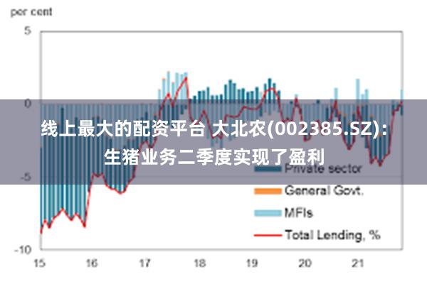 线上最大的配资平台 大北农(002385.SZ)：生猪业务二季度实现了盈利