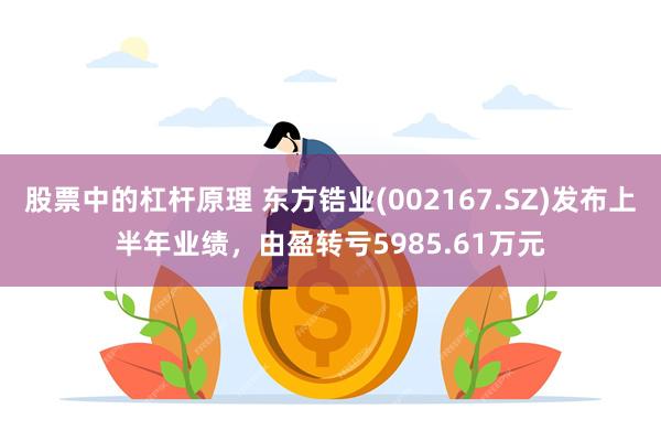 股票中的杠杆原理 东方锆业(002167.SZ)发布上半年业绩，由盈转亏5985.61万元