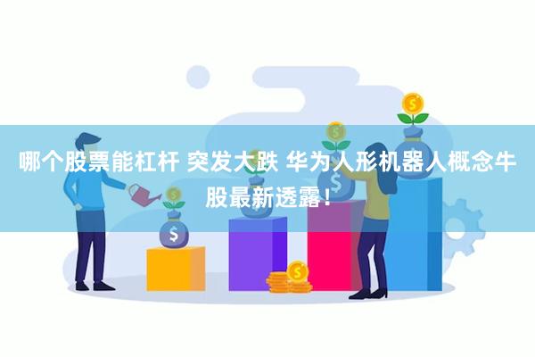 哪个股票能杠杆 突发大跌 华为人形机器人概念牛股最新透露！