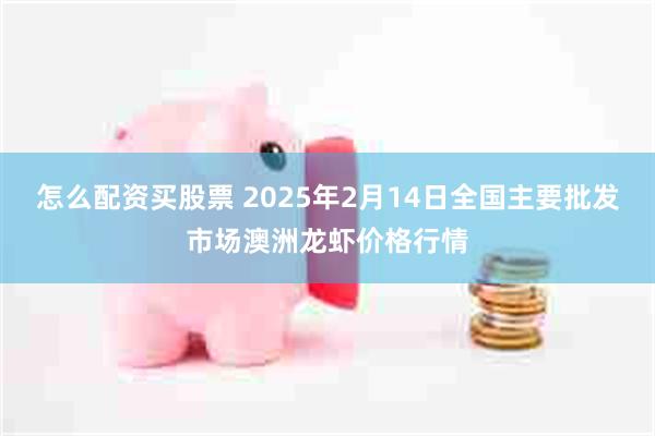 怎么配资买股票 2025年2月14日全国主要批发市场澳洲龙虾价格行情