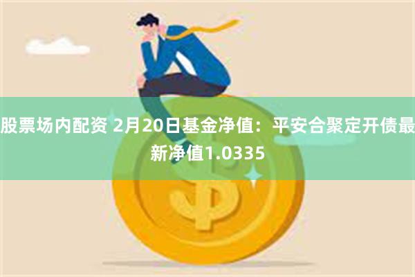 股票场内配资 2月20日基金净值：平安合聚定开债最新净值1.0335