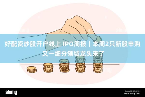 好配资炒股开户线上 IPO周报｜本周2只新股申购 又一细分领域龙头来了